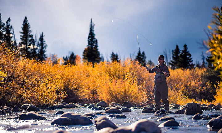 Best Fly Fishing Areas in the Mountainous West